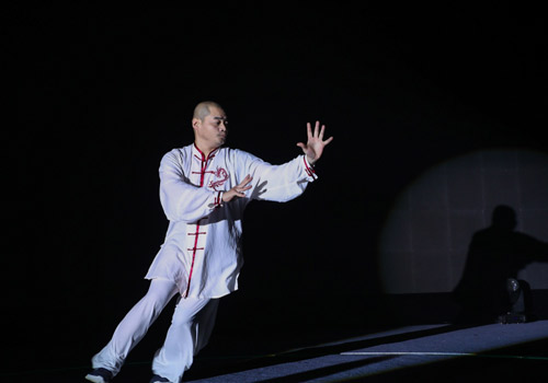 Martial Arts-Chinese Kungfu